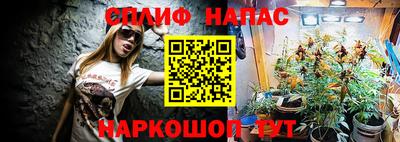 гашик Обь