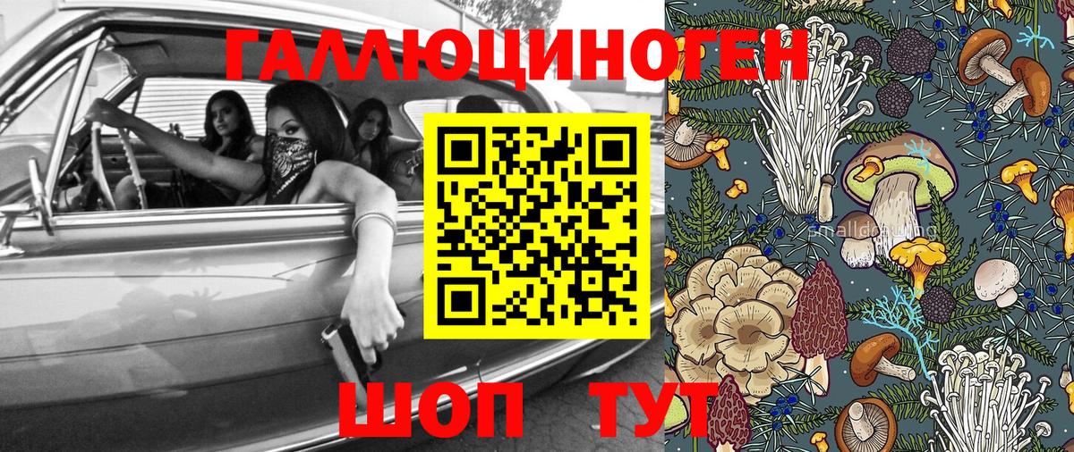 Псилоцибиновые грибы GOLDEN TEACHER Светлоград