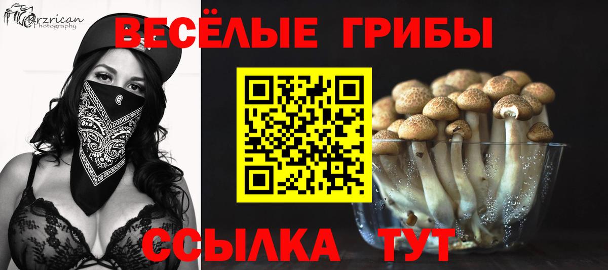 закладка  Вход с VPN  Светлоград  Галлюциногенные грибы прущие грибы 